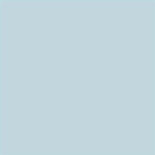PINTURA PLASTICA MATE JUNORAL B5 GAMA ALTA (OFERTA)  COLOR S 1010-B