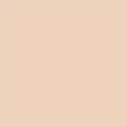 PINTURA PLASTICA MATE JUNORAL B5 GAMA ALTA (OFERTA)  COLOR S 1010-Y50R