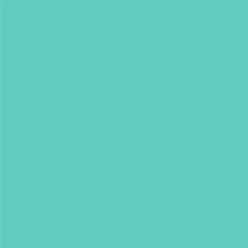 PINTURA PLASTICA MATE JUNORAL B5 GAMA ALTA (OFERTA)  COLOR S 1040-B70G
