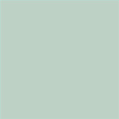 PINTURA PLASTICA MATE JUNORAL B5 GAMA ALTA (OFERTA)  COLOR S 1510-G
