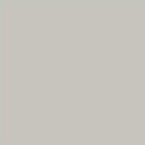 PINTURA PLASTICA MATE JUNORAL B5 GAMA ALTA (OFERTA)  COLOR S 2002-Y