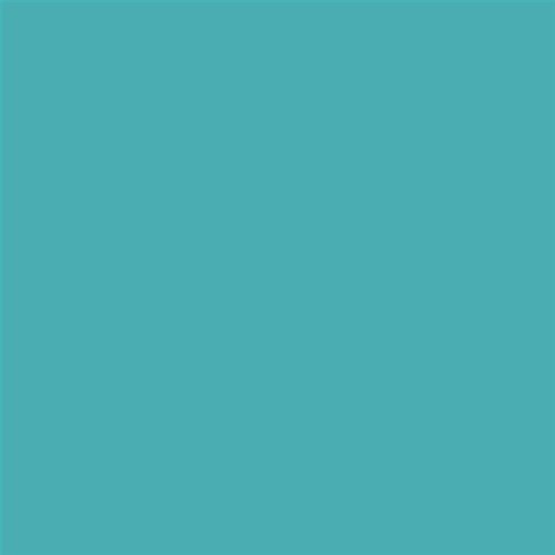 PINTURA PLASTICA MATE JUNORAL B5 GAMA ALTA (OFERTA)  COLOR S 2040-B40G