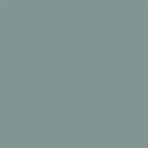 PINTURA PLASTICA MATE JUNORAL B5 GAMA ALTA (OFERTA)  COLOR S 4010-B50G