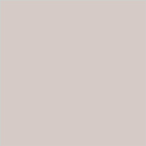 PINTURA PLASTICA MATE JUNORAL B5 GAMA ALTA (OFERTA)  COLOR SV 057