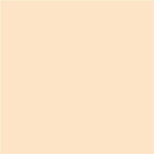 PINTURA PLASTICA MATE JUNORAL B5 GAMA ALTA (OFERTA)  COLOR SV 102