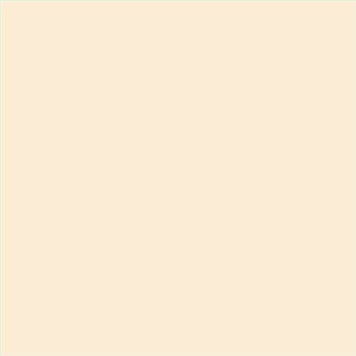 PINTURA PLASTICA MATE JUNO J-25 ALTA CAIDAD (OFERTA) COLOR S 0505-Y30R