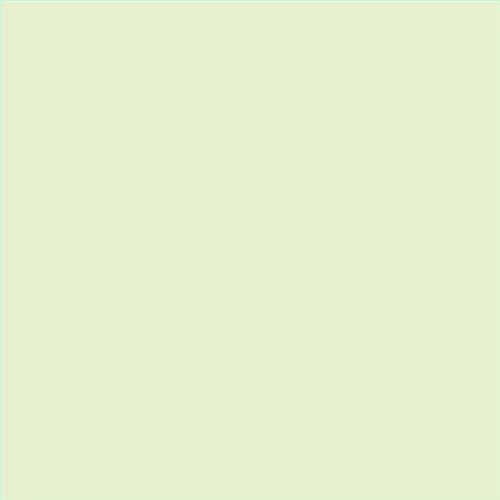 PINTURA PLASTICA MATE JUNO J-25 ALTA CAIDAD (OFERTA) COLOR S 0515-G40Y