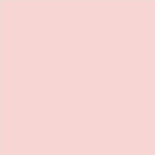 PINTURA PLASTICA MATE JUNO J-25 ALTA CAIDAD (OFERTA) COLOR S 0515-R