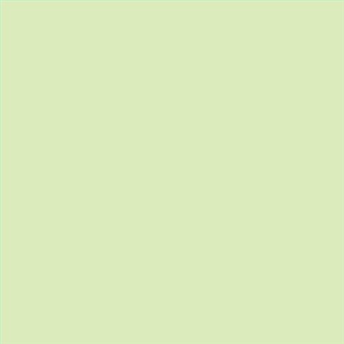 PINTURA PLASTICA MATE JUNO J-25 ALTA CAIDAD (OFERTA) COLOR S 0520-G40Y
