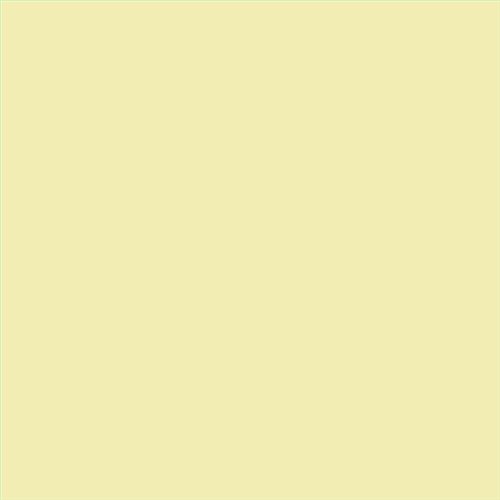 PINTURA PLASTICA MATE JUNO J-25 ALTA CAIDAD (OFERTA) COLOR S 0520-G80Y