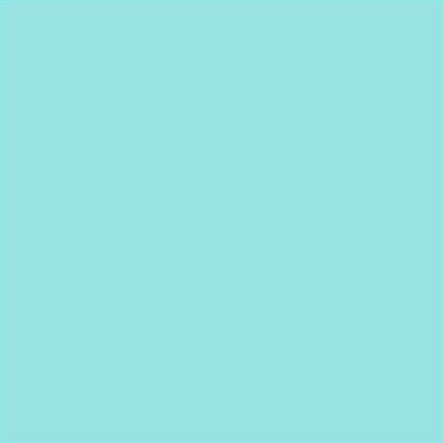 PINTURA PLASTICA MATE JUNO J-25 ALTA CAIDAD (OFERTA) COLOR S 0530-B50G