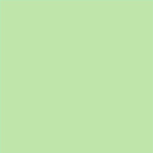 PINTURA PLASTICA MATE JUNO J-25 ALTA CAIDAD (OFERTA) COLOR S 0530-G30Y