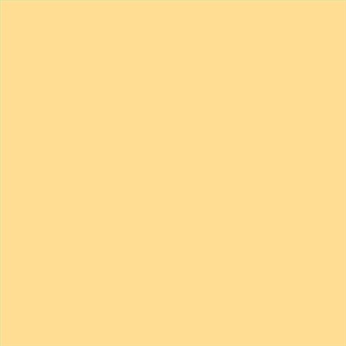 PINTURA PLASTICA MATE JUNO J-25 ALTA CAIDAD (OFERTA) COLOR S 0530-Y10R