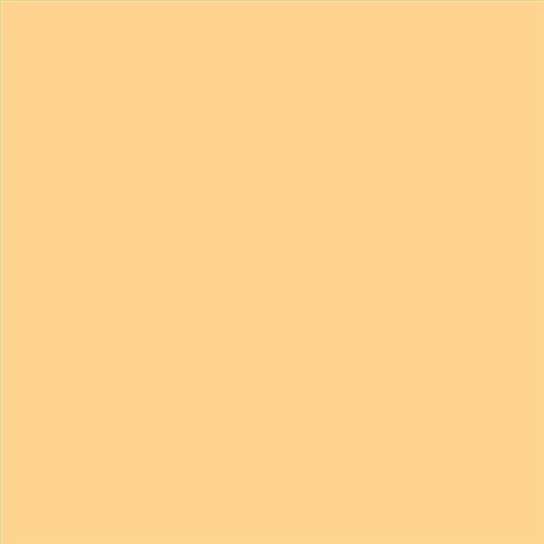 PINTURA PLASTICA MATE JUNO J-25 ALTA CAIDAD (OFERTA) COLOR S 0530-Y20R