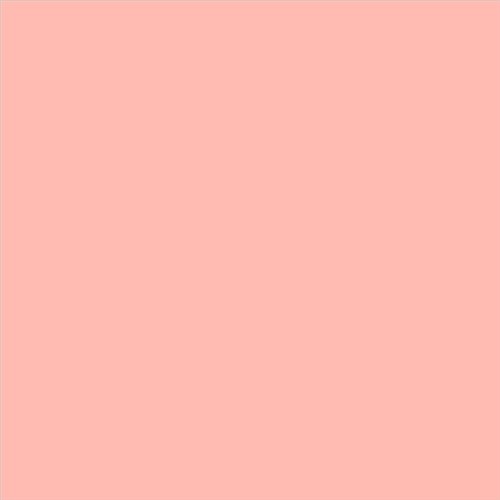 PINTURA PLASTICA MATE JUNO J-25 ALTA CAIDAD (OFERTA) COLOR S 0530-Y90R