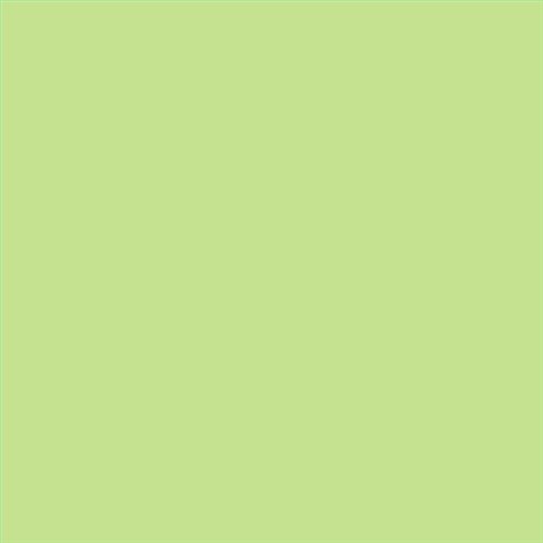 PINTURA PLASTICA MATE JUNO J-25 ALTA CAIDAD (OFERTA) COLOR S 0540-G40Y