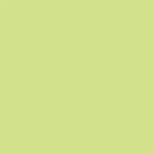 PINTURA PLASTICA MATE JUNO J-25 ALTA CAIDAD (OFERTA) COLOR S 0540-G50Y