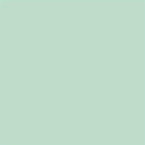 PINTURA PLASTICA MATE JUNO J-25 ALTA CAIDAD (OFERTA) COLOR S 1015-G