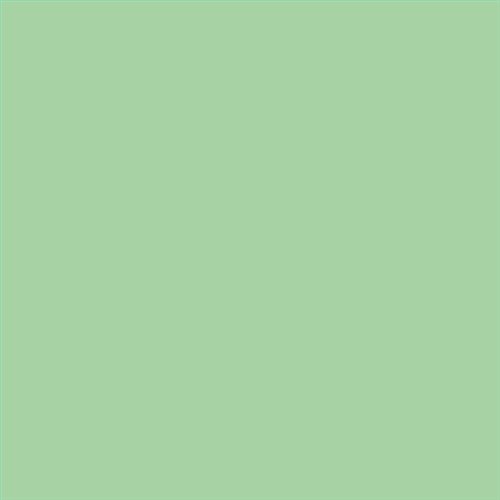 PINTURA PLASTICA MATE JUNO J-25 ALTA CAIDAD (OFERTA) COLOR S 1030-G20Y