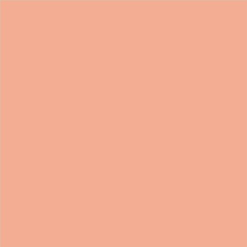 PINTURA PLASTICA MATE JUNO J-25 ALTA CAIDAD (OFERTA) COLOR S 1030-Y70R