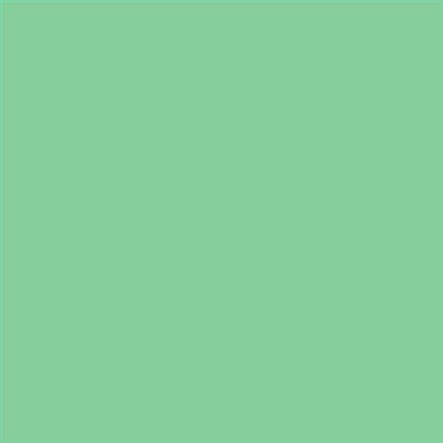 PINTURA PLASTICA MATE JUNO J-25 ALTA CAIDAD (OFERTA) COLOR S 1040-G10Y