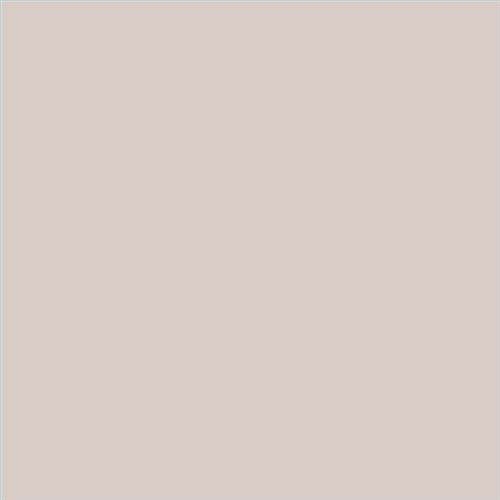 PINTURA PLASTICA MATE JUNO J-25 ALTA CAIDAD (OFERTA) COLOR S 1505-Y70R
