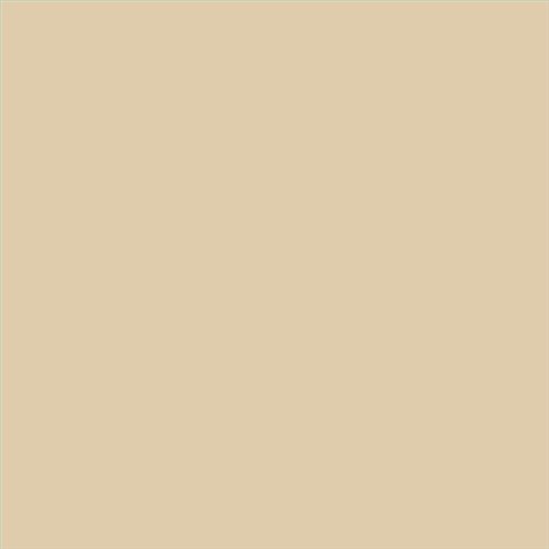 PINTURA PLASTICA MATE JUNO J-25 ALTA CAIDAD (OFERTA) COLOR S 1510-Y20R