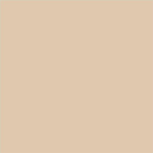 PINTURA PLASTICA MATE JUNO J-25 ALTA CAIDAD (OFERTA) COLOR S 1510-Y40R