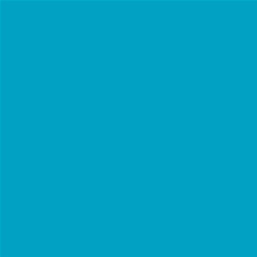 PINTURA PLASTICA MATE JUNO J-25 ALTA CAIDAD (OFERTA) COLOR S 1555-B10G