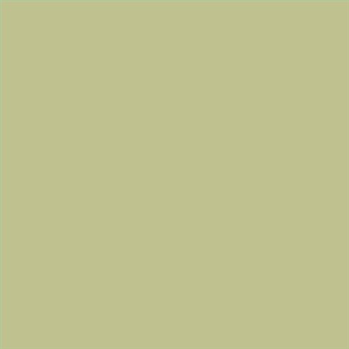 PINTURA PLASTICA MATE JUNO J-25 ALTA CAIDAD (OFERTA) COLOR S 2020-G70Y