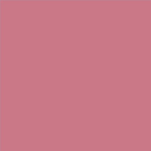 PINTURA PLASTICA MATE JUNO J-25 ALTA CAIDAD (OFERTA) COLOR S 2040-R10B