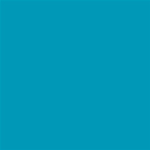 PINTURA PLASTICA MATE JUNO J-25 ALTA CAIDAD (OFERTA) COLOR S 2050-B10G