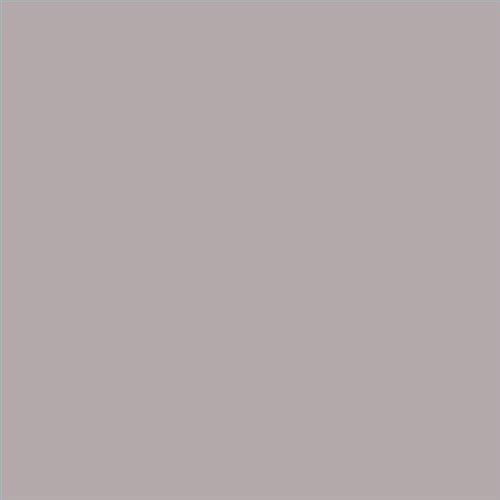 PINTURA PLASTICA MATE JUNO J-25 ALTA CAIDAD (OFERTA) COLOR S 3005-R20B