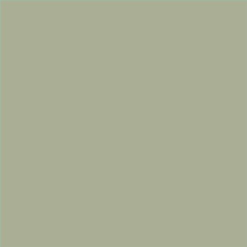 PINTURA PLASTICA MATE JUNO J-25 ALTA CAIDAD (OFERTA) COLOR S 3010-G60Y