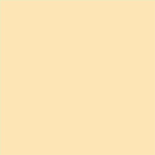 PINTURA PLASTICA MATE JUNO J-25 ALTA CAIDAD (OFERTA) COLOR SV 109