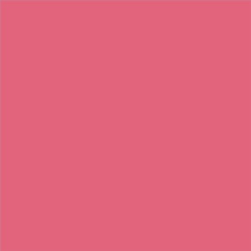 ESMALTE AL AGUA AQUALAC BRILLANTE  (OFERTA) COLOR S 1060-R10B