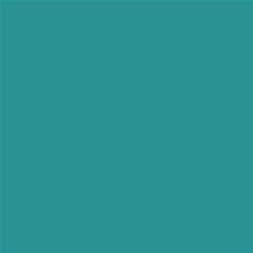 ESMALTE AL AGUA AQUALAC BRILLANTE  (OFERTA) COLOR S 3040-B50G