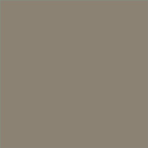 ESMALTE AL AGUA AQUALAC BRILLANTE  (OFERTA) COLOR S 5005-Y20R