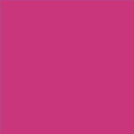 AQUALAC SATINADO ESMALTE AL AGUA (OFERTA) COLOR RAL 4010