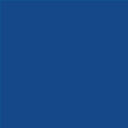 AQUALAC SATINADO ESMALTE AL AGUA (OFERTA) COLOR RAL 5005