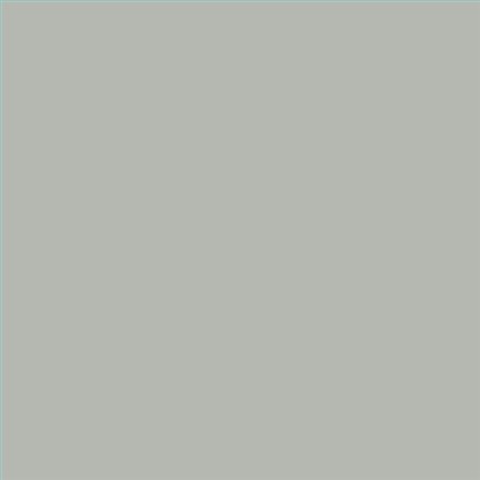 AQUALAC SATINADO ESMALTE AL AGUA (OFERTA) COLOR RAL 7038