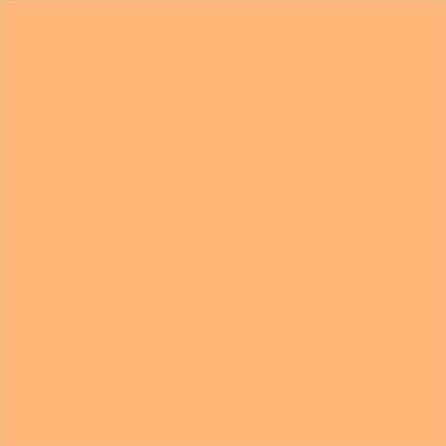 AQUALAC SATINADO ESMALTE AL AGUA (OFERTA) COLOR S 0540-Y40R