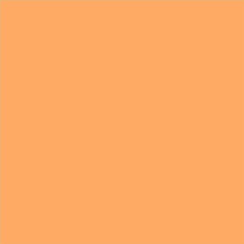 AQUALAC SATINADO ESMALTE AL AGUA (OFERTA) COLOR S 0550-Y40R