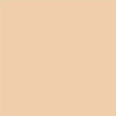 AQUALAC SATINADO ESMALTE AL AGUA (OFERTA) COLOR S 1015-Y40R