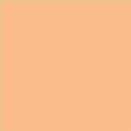 AQUALAC SATINADO ESMALTE AL AGUA (OFERTA) COLOR S 1030-Y40R