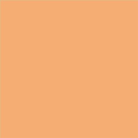 AQUALAC SATINADO ESMALTE AL AGUA (OFERTA) COLOR S 1040-Y40R