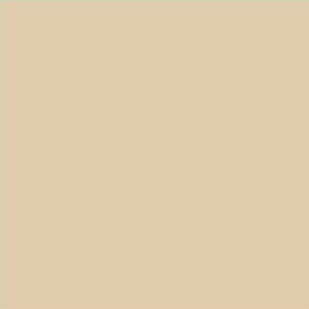 AQUALAC SATINADO ESMALTE AL AGUA (OFERTA) COLOR S 1510-Y20R
