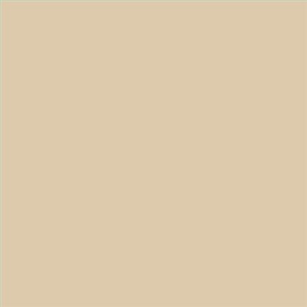 AQUALAC SATINADO ESMALTE AL AGUA (OFERTA) COLOR S 1510-Y30R
