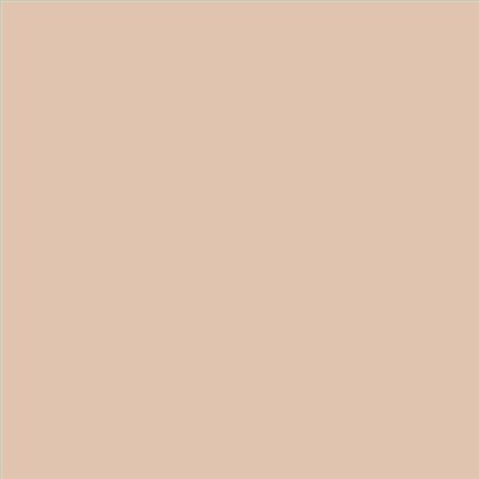 AQUALAC SATINADO ESMALTE AL AGUA (OFERTA) COLOR S 1510-Y50R