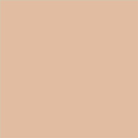 AQUALAC SATINADO ESMALTE AL AGUA (OFERTA) COLOR S 1515-Y50R